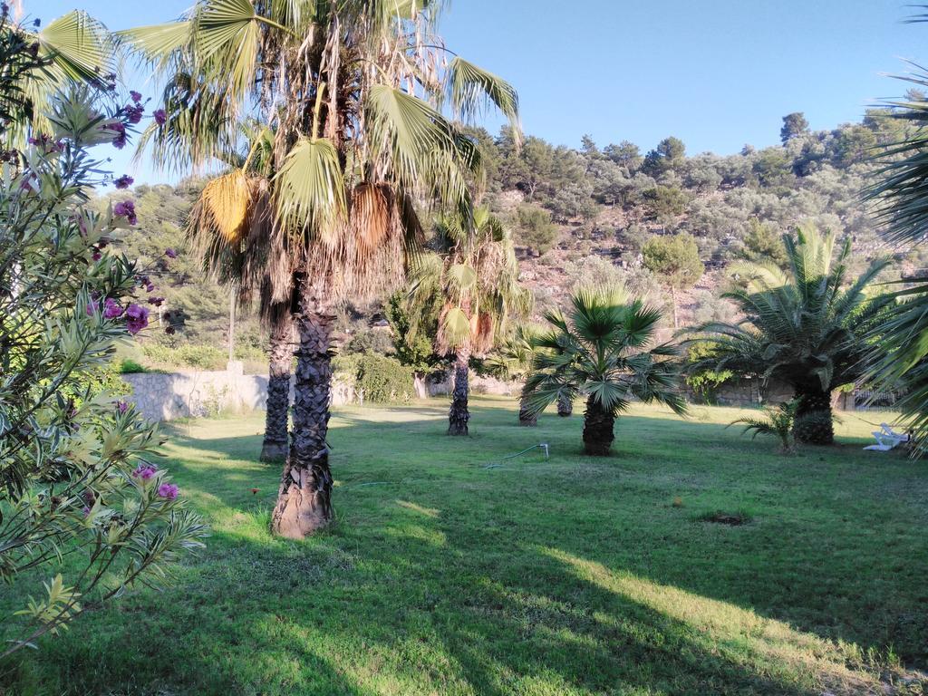 The Palm Apart Sarigerme Bagian luar foto